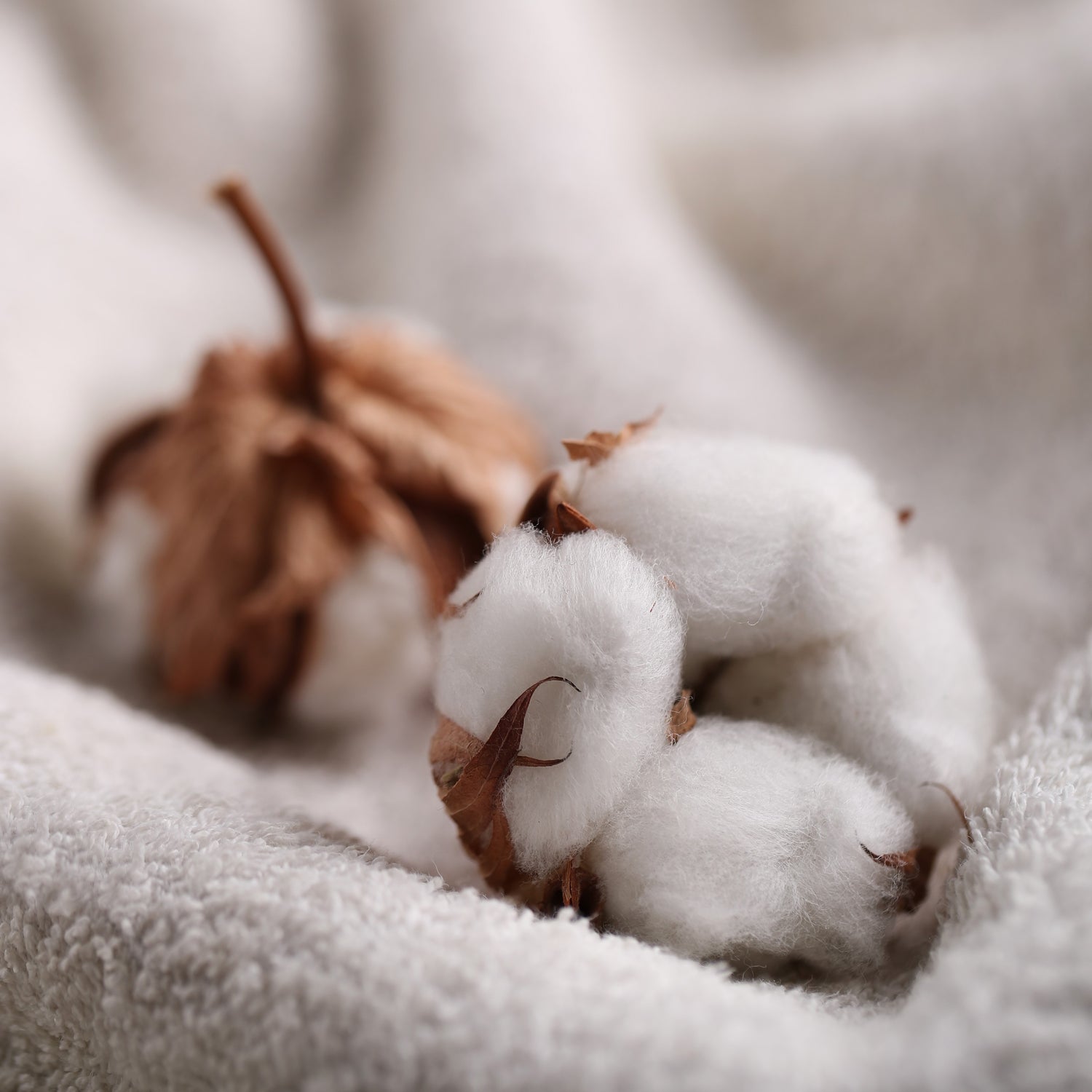 pyjama-bebe-coton-bio